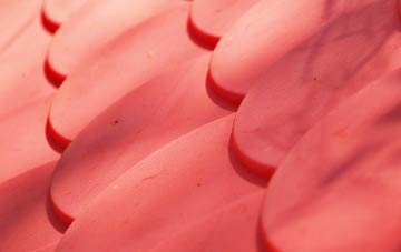 Knockbog plastic roof costs