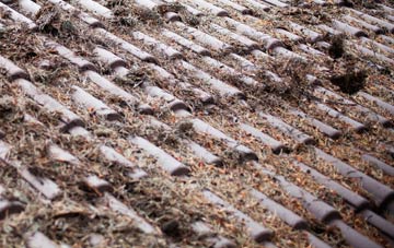 Knockbog roof cleaning companies