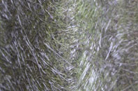 Knockbog fibreglass roof work